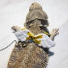 Lizard Angel Wings Walking Leash Harness Soft Comfortable Breathable Traction Rope For Daily Walking Training - 3 of 4