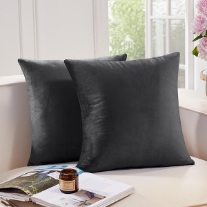 Deconovo Home Velvet Soft Decorative Pillow Covers Invisible Zipper Cushion Cover, 2-Pack - 1 of 4