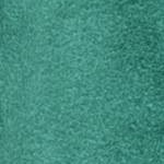Dark Teal Green