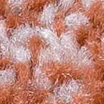 cream, dusty coral, rust