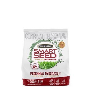 Pennington Smart Seed Perennial Ryegrass Sun or Shade Grass Seed and Fertilizer 3 lb - 1 of 1