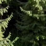 light grey texture color