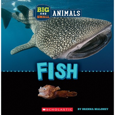 Fish (Wild World: Big and Small Animals) - by  Brenna Maloney (Hardcover)