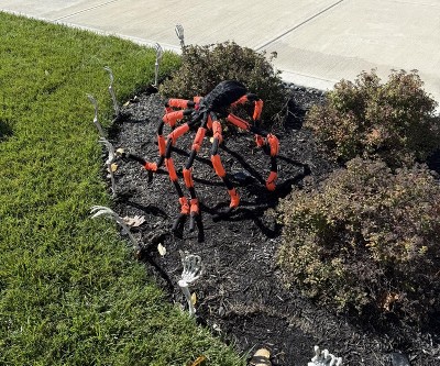 Guest review image 1 of 1, zoom in