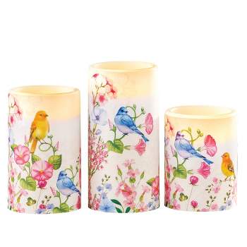 Collections Etc Colorful Birds Garden Battery-Operated Candles - Set of 3 3 X 3 X 6