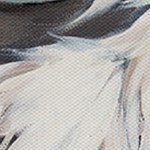coastal white