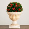 Nearly Natural 22" UV Resistant Artificial Red Tip Photinia Christmas Ball in Decorative Planter (Indoor/Outdoor) - 3 of 4