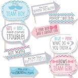 Big Dot of Happiness Funny Chevron Gender Reveal - Baby Shower Photo Booth Props Kit - 10 Piece