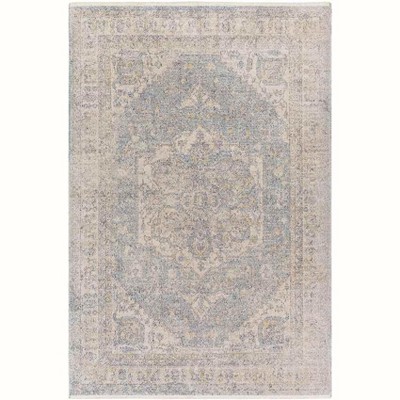 Mark & Day Millia 7'10"x10' Rectangle Woven Indoor Area Rugs Pale Blue: Stain-Resistant, Pet Friendly, Traditional Decor