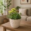Stoneware Ceramic Planter with Embossed Floral Rim and Curved Edge Detailing for Decorative Display and Contemporary Accent Styling - 3 of 4