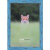 PosterPalooza | Shabby Chic Blue Picture Frame - UV Acrylic, Backing Board, Hanging Hardware Included - 4 of 4