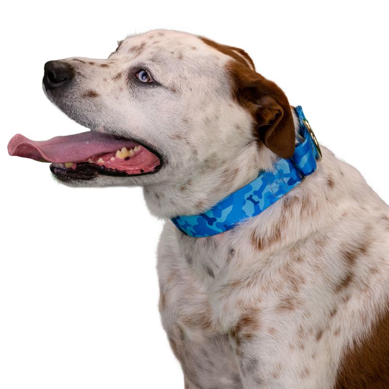 Country Brook Petz 1 1/2 Inch Blue Bone Camo Martingale Dog Collar, 4 of 9
