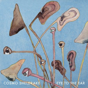 Cosmo Sheldrake - Eye to the Ear (Vinyl) - 1 of 1