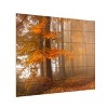 Trademark Fine Art Nicolas Schumacher Edge of The Autumn Woods Wood Slat Art - 2 of 4