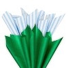 10ct Tissue Papers Blue Stripes/Solid Green - 3 of 4