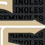 florida state seminoles athletic wordmark