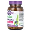 Oregon's Wild Harvest Organic Astragalus, 90 Organic Vegan Capsules (375 mg per Capsule) - 4 of 4