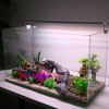 Unique Bargains Aquarium Plastic Plants for Fish Tank Landscape Decoration 1.97" 20 Pcs - 2 of 4
