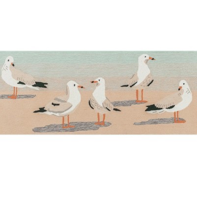 gulls sand