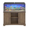 Harbor 50 - 75 Gallon Aquarium or Terrarium Tank Stand - Ollie & Hutch - 2 of 4