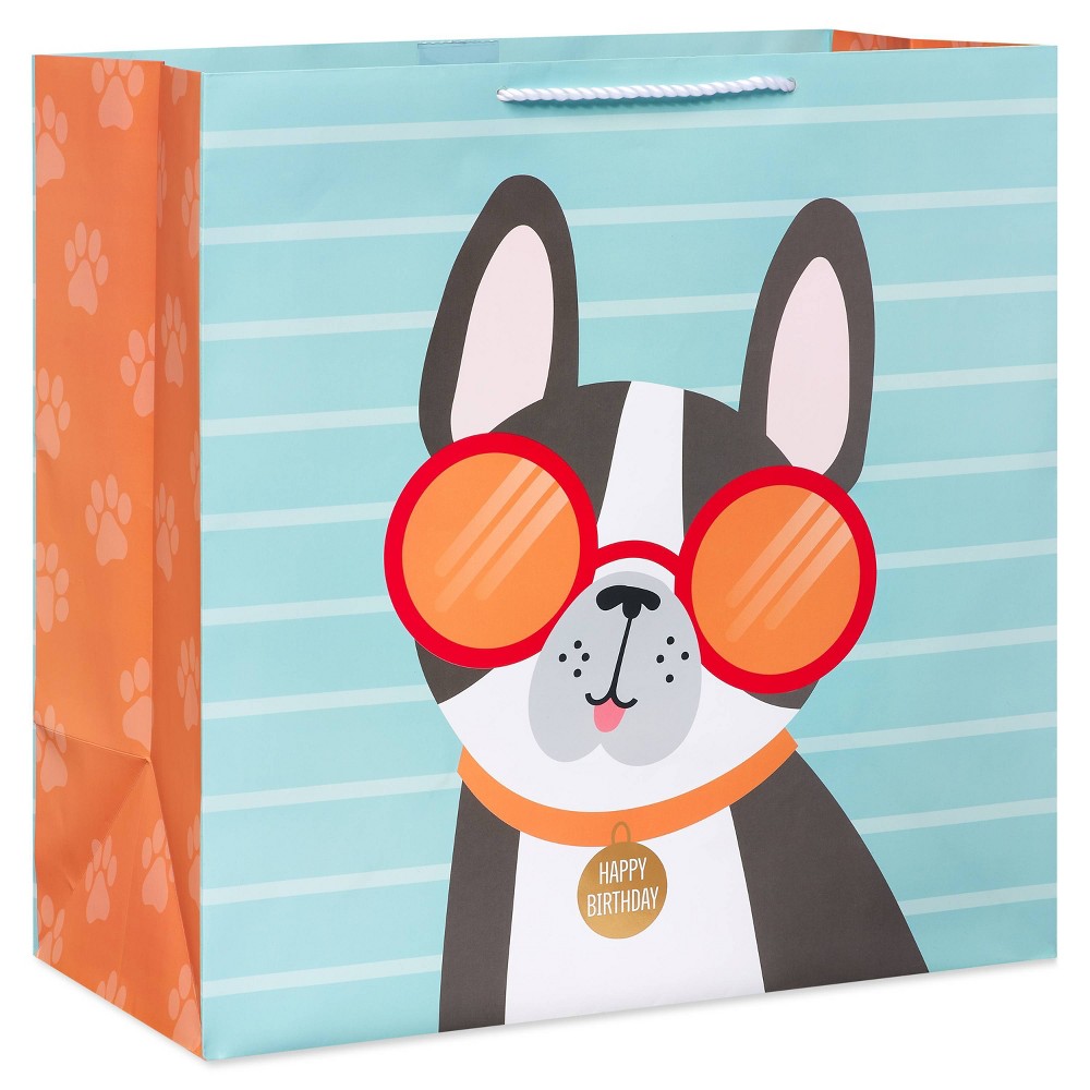 Photos - Other Souvenirs Dog in Sunglasses Kids' Square Gift Bag - Spritz™