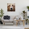 Stupell Industries Grizzly Bear with Glasses, 30" x 30" - 2 of 4
