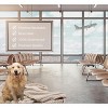 Premium Soft Dog Cat Waterproof Soft Fleece Washable Reversible Blanket - 3 of 4