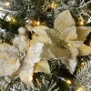30" Prelit LED Flocked Colonial Fir Wreath Dual Color Cosmic Lights - National Tree Company - 4 of 4