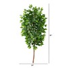 Nearly Natural 5-ft Artificial Ficus Tree (No Pot) - 4 of 4