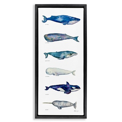 Stupell Industries Maritime Sea Life Chart, 15" x 31"