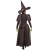 Rubies The Wizard of Oz Wicked Witch Womens Deluxe Costume - image 2 of 4