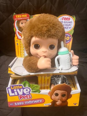 Little Live Pets My Baby Monkey - Mango : Target