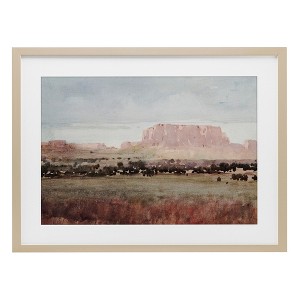 Stupell Industries Earthy Canyon Mesa Framed Print Under Glass Art - 1 of 4