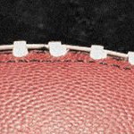 los angeles chargers