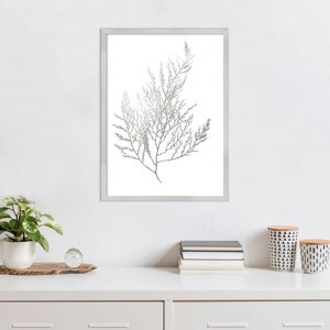 Amanti Art Gray Algae II by Jennifer Goldberger Wood Framed Wall Art Print - 1 of 4