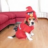 Angry Birds Red Bird Pet Costume - image 3 of 4