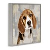 Stupell Industries Pet Beagle Patiently Waiting, 12" x 12" - 3 of 4