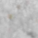 black, charcoal, beige, gray, mustard, off white