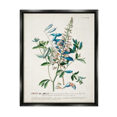 Stupell Industries Botanical Plant Illustration Flowers And Leaves Vintage Design