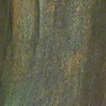 antique green