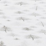 truckee - grey