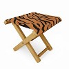 Avenie Tiger Stripes Folding Stool - Deny Designs - 2 of 3