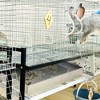 Pet Lodge 24 x 24 x 2.75 Inches Heavy Duty Galvanized Steel Pull Out Rabbit Hutch Dropping Pan or Waste Pan Litter Tray, Silver - 3 of 4