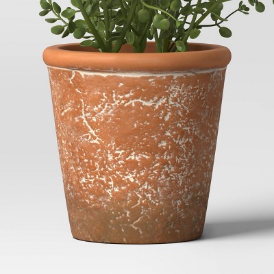 16&#34; Unsheared Boxwood Artificial Plant - Threshold&#8482; designed with Studio McGee