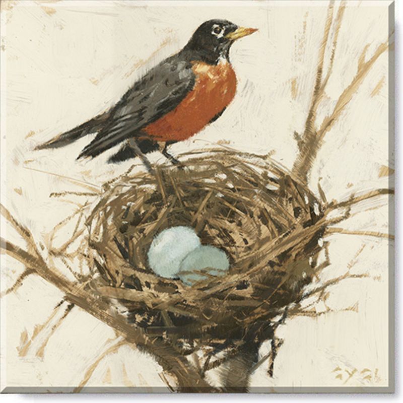 Sullivans Darren Gygi Robin On A Nest Giclee Wall Art, Gallery Wrapped, Handcrafted in USA, Wall Art, Wall Decor, Home Décor, Handed Painted, 1 of 4