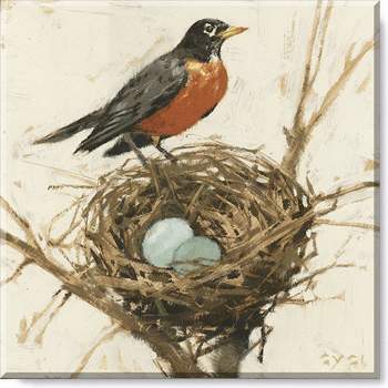 Sullivans Darren Gygi Robin On A Nest Giclee Wall Art, Gallery Wrapped, Handcrafted in USA, Wall Art, Wall Decor, Home Décor, Handed Painted