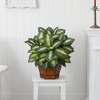 Nearly Natural Golden Dieffenbachia Artificial Plant - 2 of 2