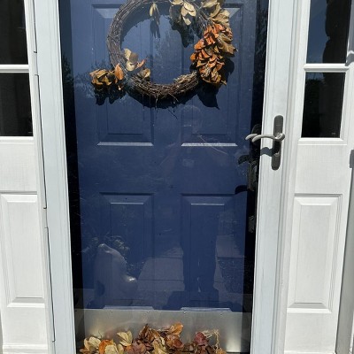 Guest review image 1 of 1, zoom in