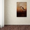 Trademark Fine Art -Jai Johnson 'Red Tail In Wait' Canvas Art - 3 of 3
