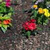 YardGard Welded Wire Fence Vinyl Coated 16 Gauge, 3 x 2-In. Mesh, 24 x 25in - 3 of 4